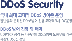 DDos Security. 국내 최대 고대역 DDoS 방어존 운영, DDoS 방어 전담 팀 배치
